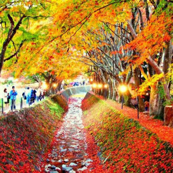 Images (2)
