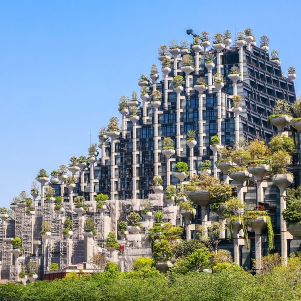Shanghai,,china, ,april,12,,2025:,tian,an,1000,trees,